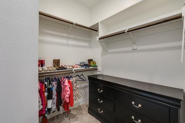 spacious closet featuring light colored carpet