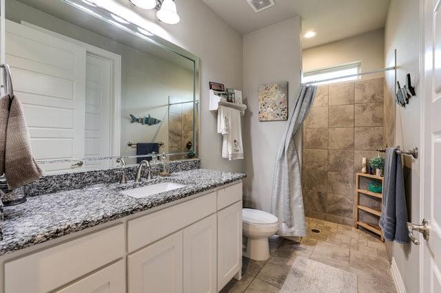 bathroom featuring vanity, a shower with shower curtain, and toilet