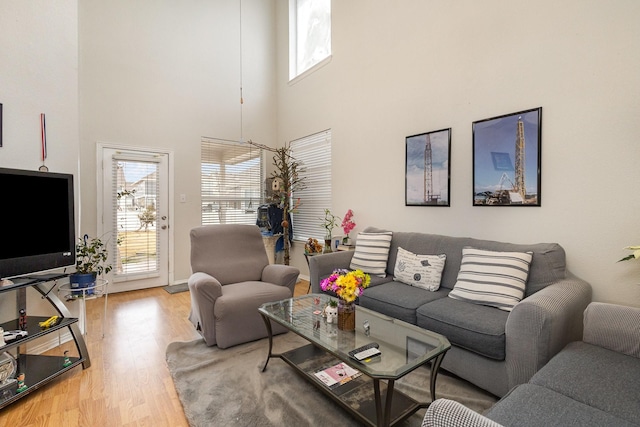 living room with hardwood / wood-style flooring, a towering ceiling, and a healthy amount of sunlight