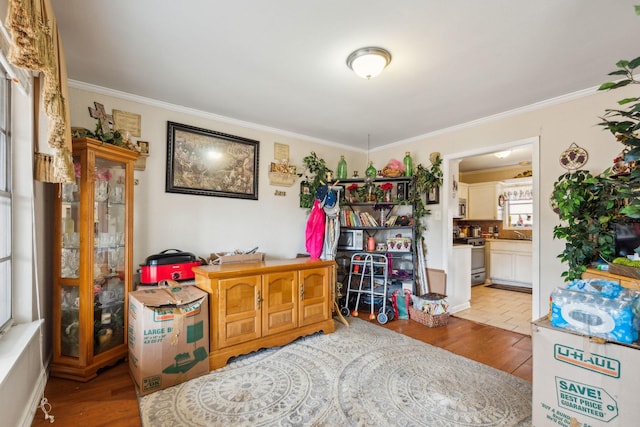 miscellaneous room featuring crown molding, sink, and light hardwood / wood-style floors