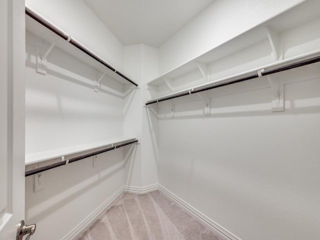 walk in closet featuring light colored carpet