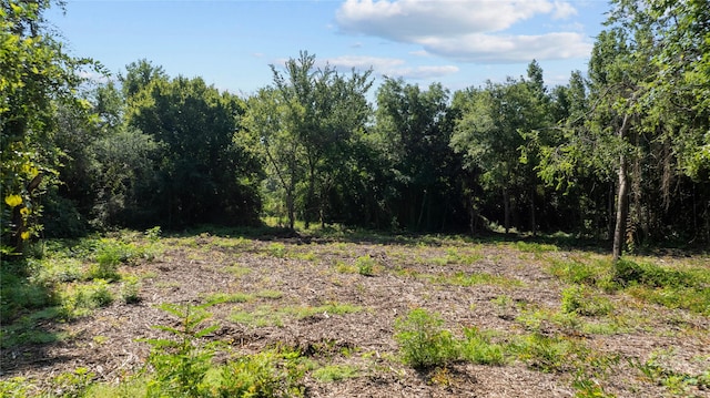 Listing photo 3 for 9443 Mistletoe Rd Lot 11, Gilmer TX 75644