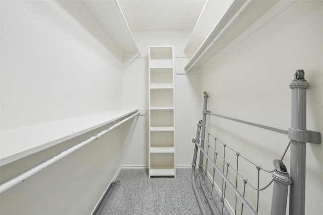 walk in closet featuring carpet