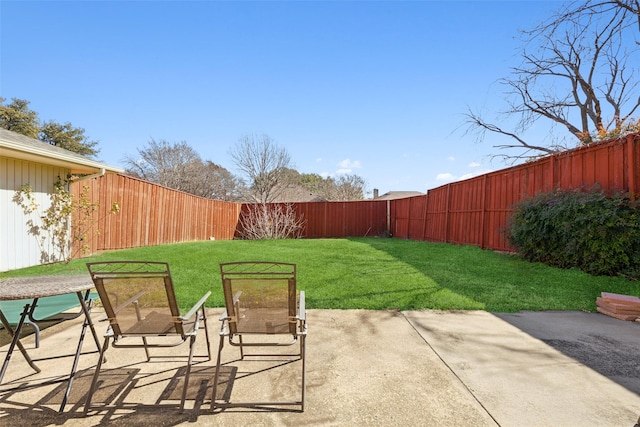 view of yard featuring a patio area