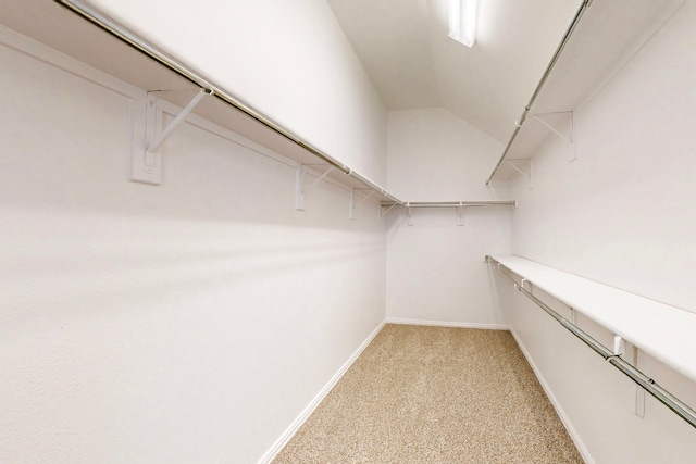 spacious closet with light carpet