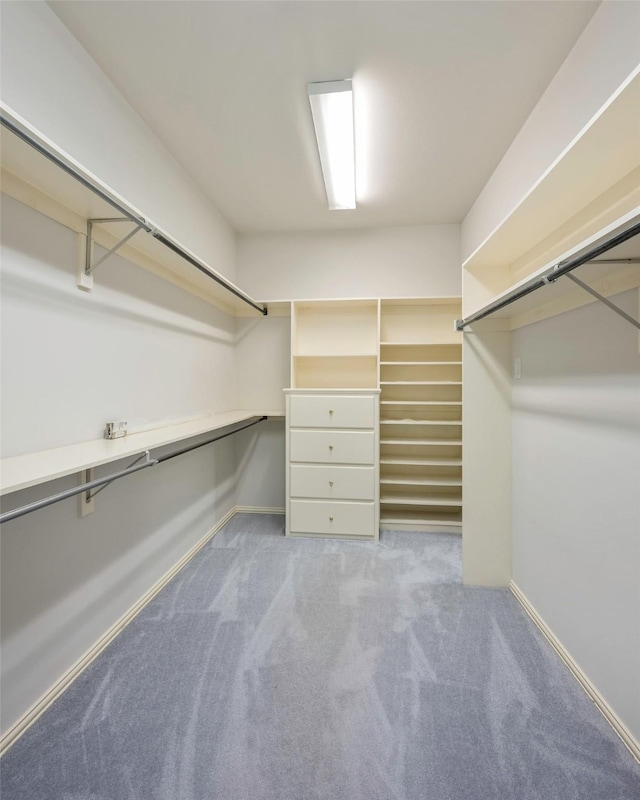 spacious closet with light colored carpet