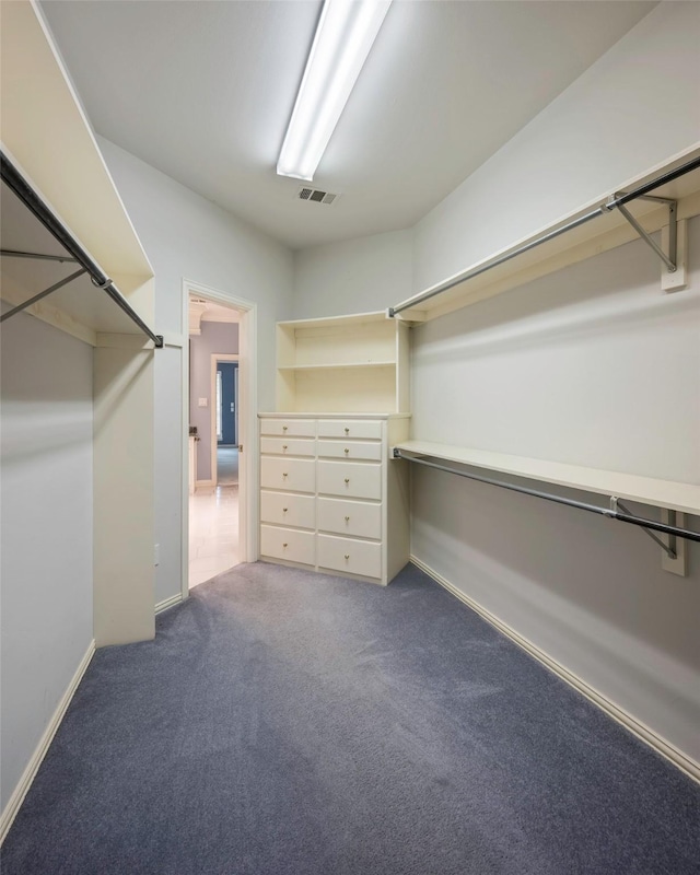 spacious closet with dark colored carpet