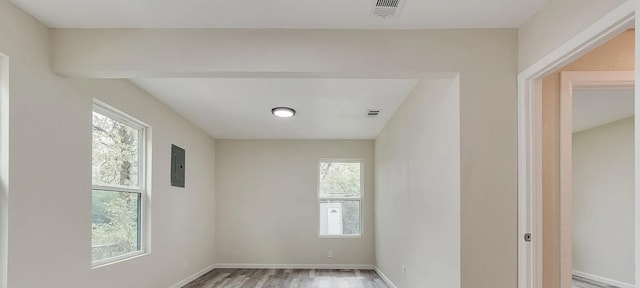 empty room featuring a healthy amount of sunlight, electric panel, and wood-type flooring