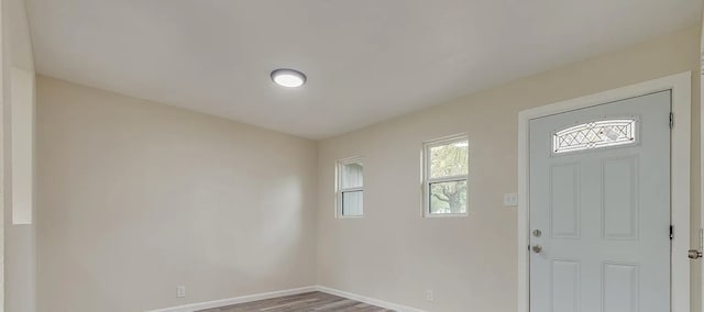 entryway featuring hardwood / wood-style flooring