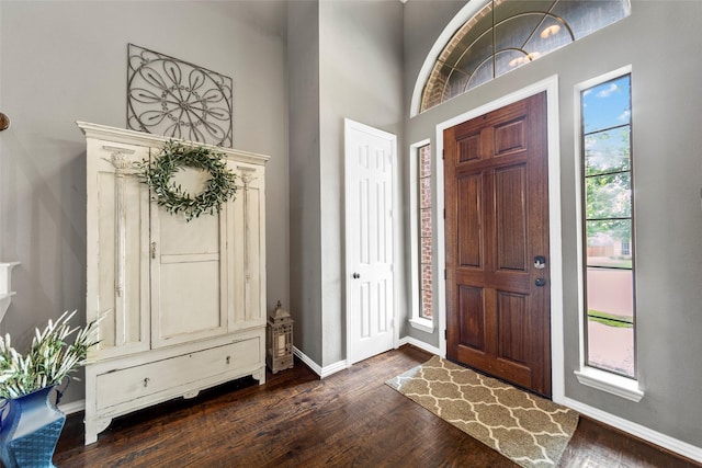 foyer with dark hardwood / wood-style flooring and a high ceiling