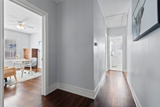 hall with dark hardwood / wood-style flooring