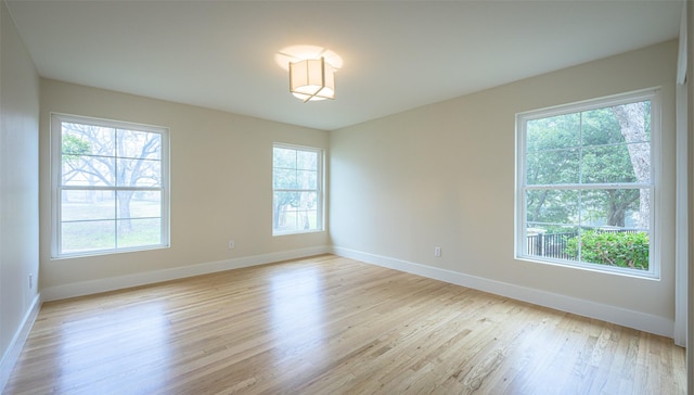 spare room featuring a healthy amount of sunlight and light wood-type flooring