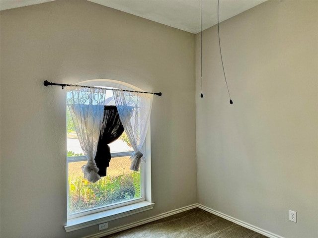 interior details featuring carpet floors