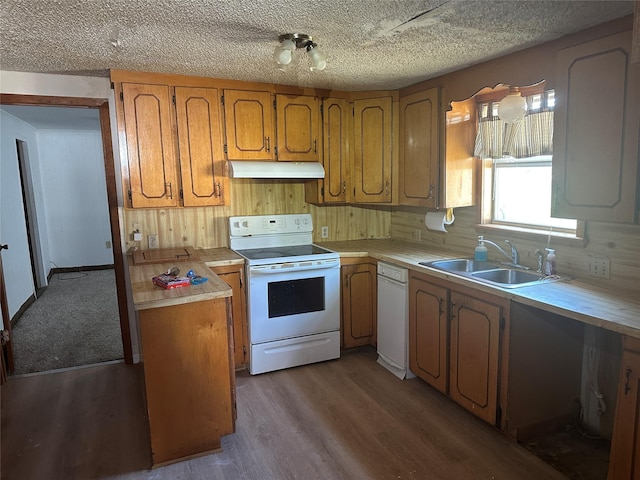 kitchen with sink, a textured ceiling, dark hardwood / wood-style floors, white electric stove, and backsplash