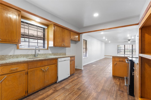 kitchen featuring dishwasher, sink, ceiling fan, light stone counters, and dark wood-type flooring