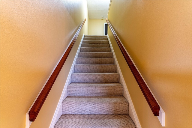 stairs with carpet flooring