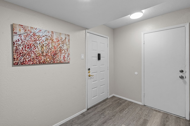 foyer featuring hardwood / wood-style floors