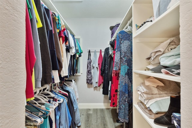 walk in closet with hardwood / wood-style flooring