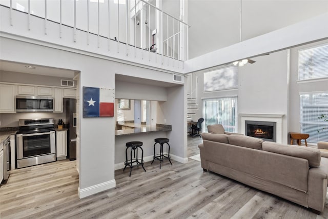 living room featuring light hardwood / wood-style flooring and a high ceiling