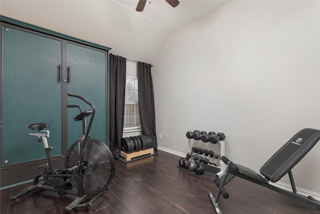 exercise area featuring ceiling fan, lofted ceiling, and dark hardwood / wood-style floors