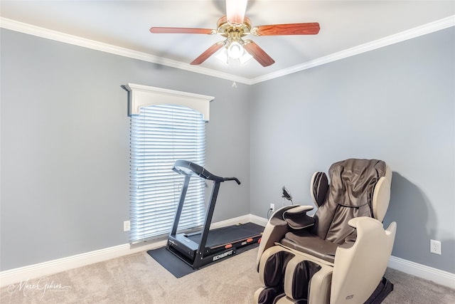 workout room with ornamental molding, ceiling fan, and carpet