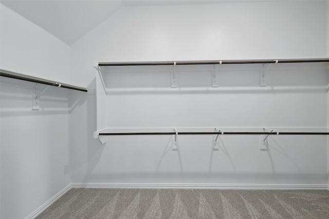 16109 Garden Dr, Celina, TX 75009 - walk in closet with carpet and vaulted ceiling
