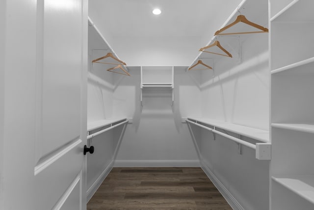 spacious closet featuring dark hardwood / wood-style flooring