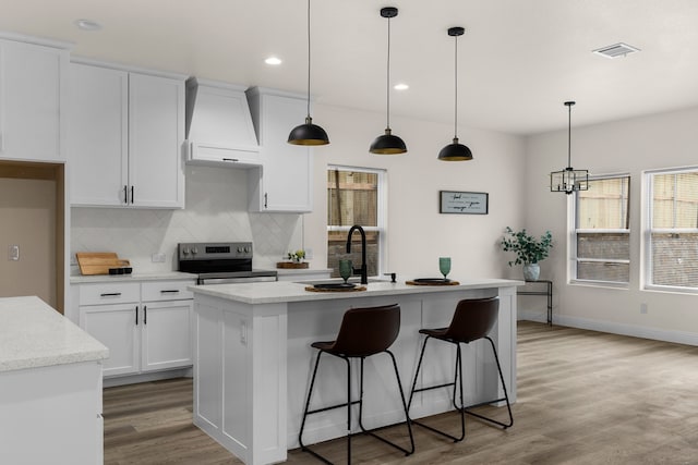 kitchen featuring an island with sink, sink, premium range hood, and electric range