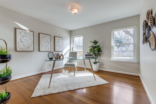 home office featuring wood-type flooring