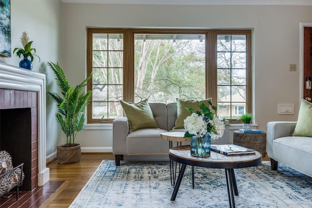 sitting room with hardwood / wood-style floors