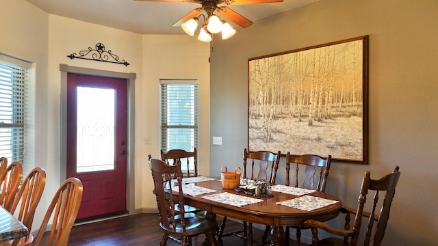 dining room featuring dark hardwood / wood-style flooring, a wealth of natural light, and ceiling fan