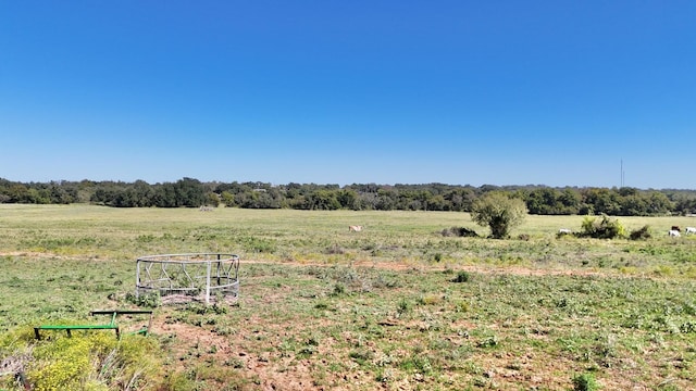 view of yard featuring a rural view