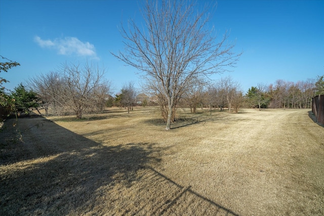 view of yard with a rural view