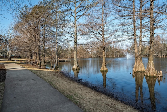 property view of water