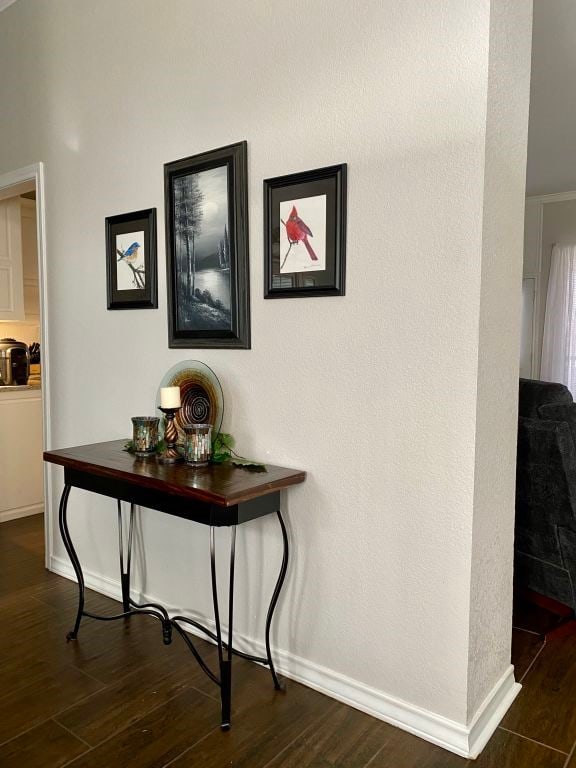 hall featuring dark wood-type flooring