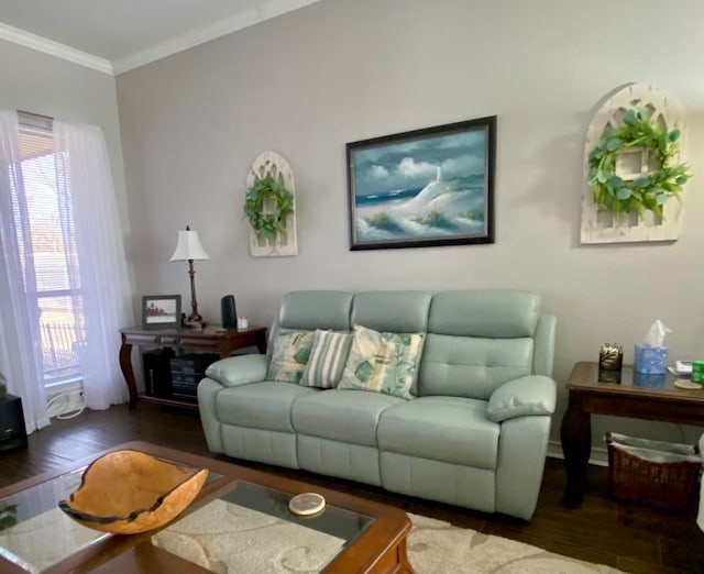 living room featuring crown molding and dark hardwood / wood-style flooring