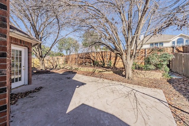 view of yard featuring a patio area