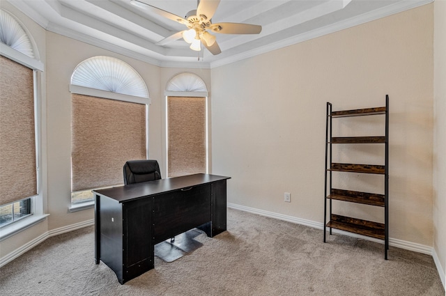 carpeted office space featuring ornamental molding, a raised ceiling, and ceiling fan