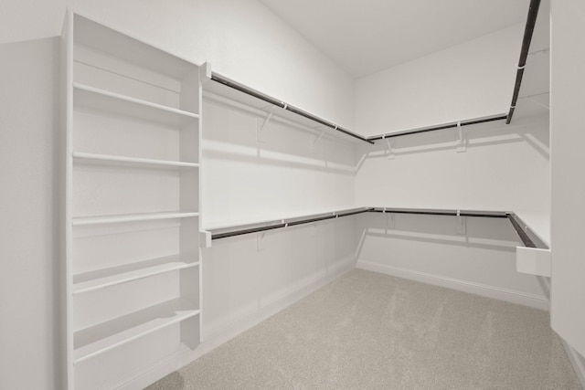 spacious closet featuring carpet floors