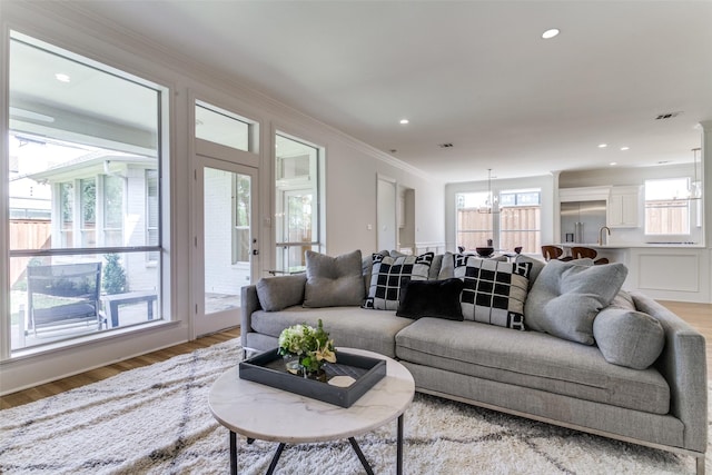 living room featuring ornamental molding, sink, a chandelier, and light hardwood / wood-style floors