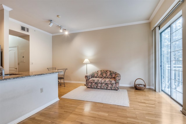 living area with crown molding, sink, track lighting, and light wood-type flooring