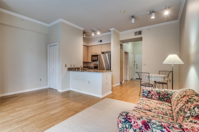 living room featuring crown molding, rail lighting, sink, and light wood-type flooring