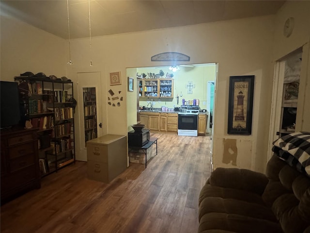 living room featuring dark hardwood / wood-style flooring and sink