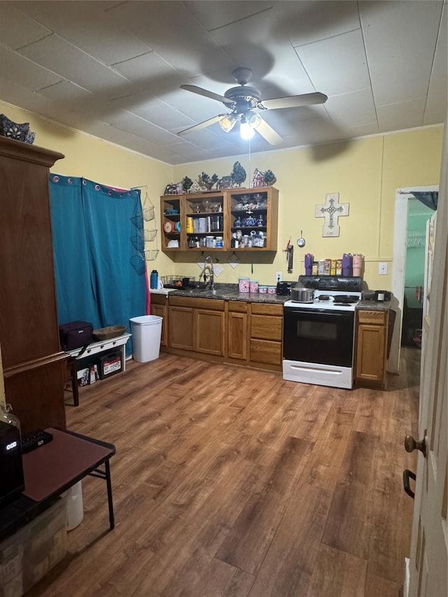 kitchen featuring hardwood / wood-style flooring, ceiling fan, and electric stove