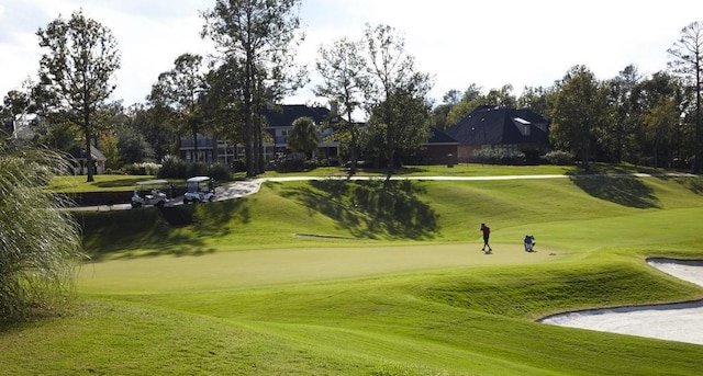 view of community with a lawn