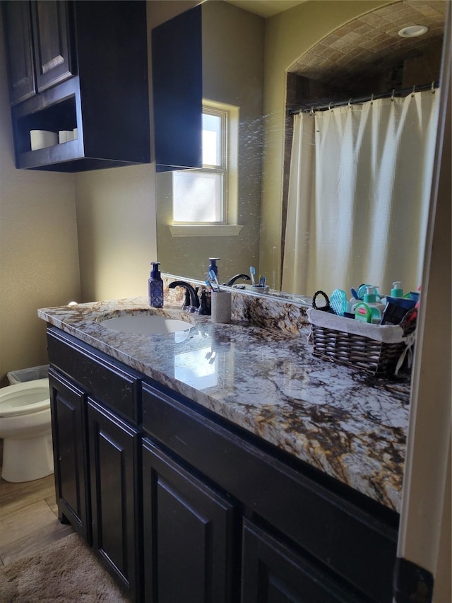 bathroom featuring vanity, hardwood / wood-style floors, and toilet