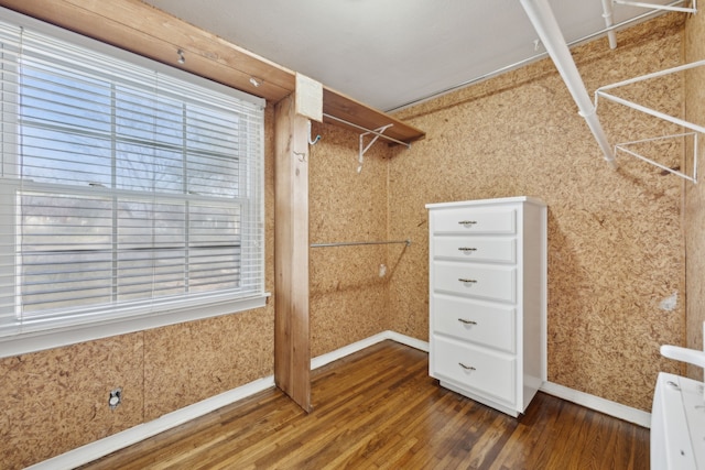 walk in closet with dark hardwood / wood-style floors