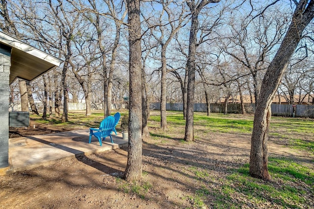 view of yard featuring a patio area