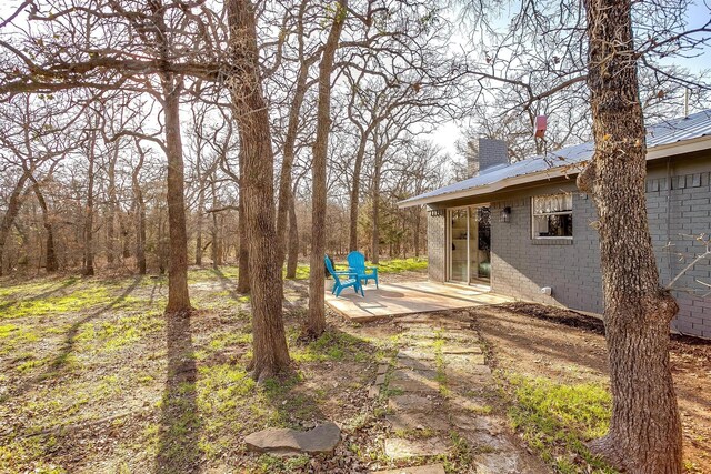 view of yard featuring a patio area