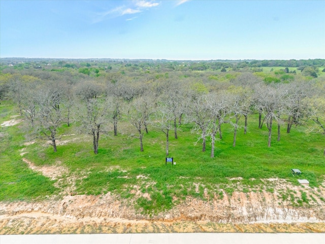 Listing photo 3 for LOT29BLOCK1 Vaquero Dr, Weatherford TX 76088